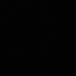 Meet your Posher, Tamia